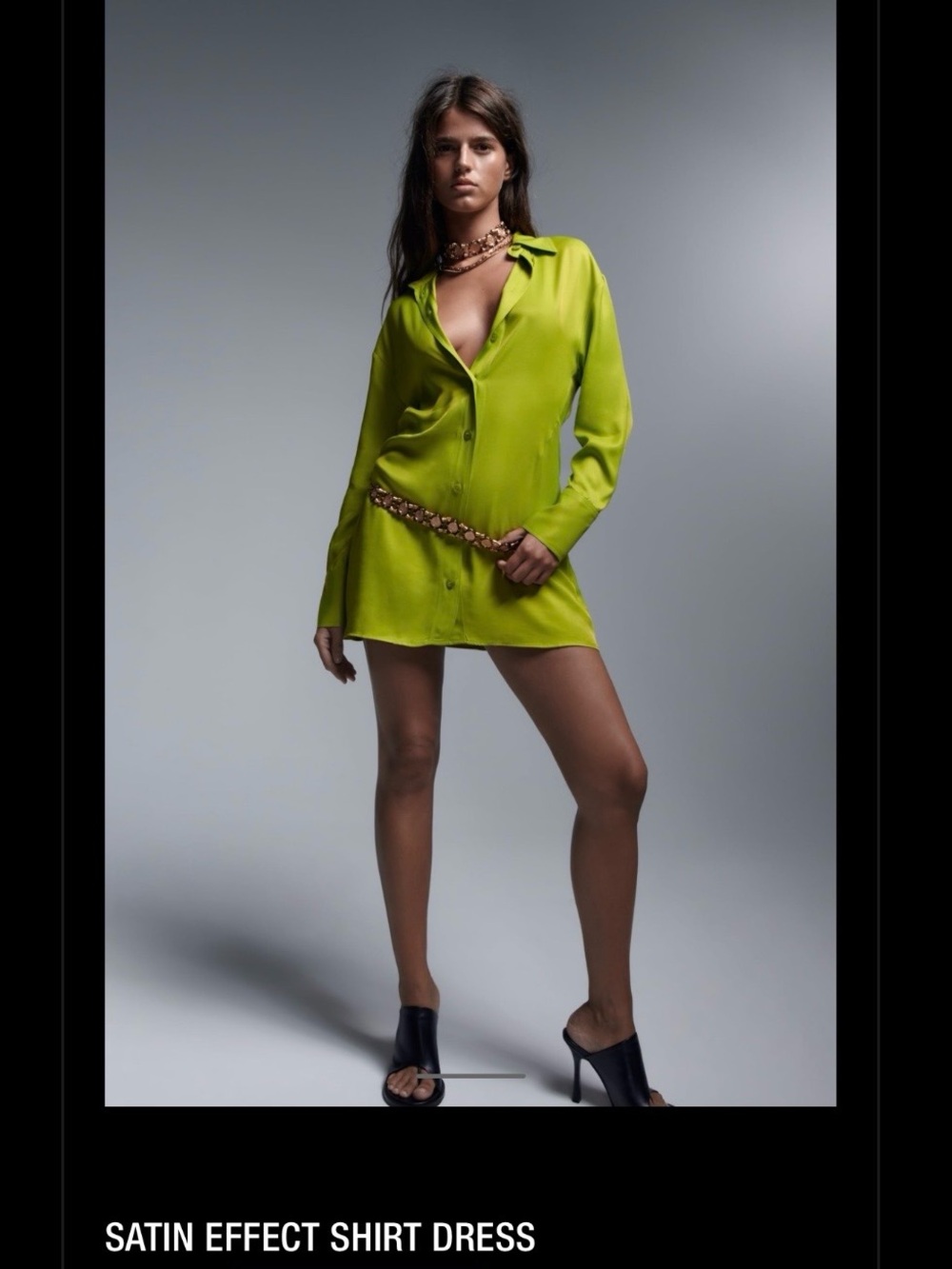 ZARA Dress